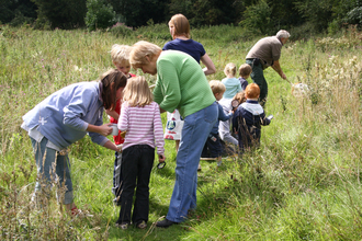 Minibeasts at Greenfields LNR