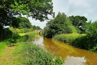 Canal with lush green foliage either side
