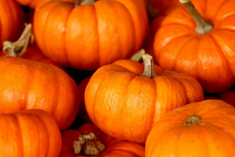 An assortment of pumpkins
