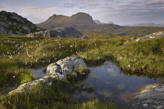 Suilven mountain in Scotland in the background. In the foreground is boggy land, with grassy mounts and pools of water