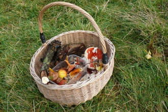 Basket full of fungi finds