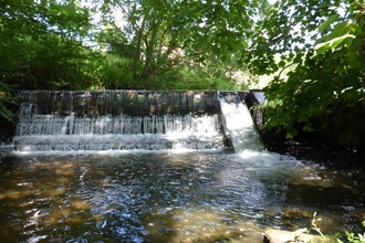 Eel and fish pass