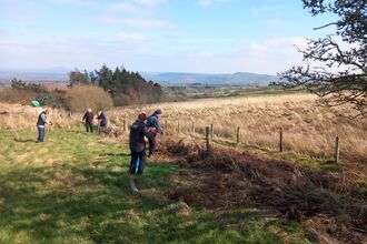 Group removing fence posts