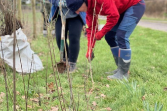 Two people planting.