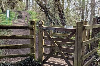 Entrance to Ellesmere Plantation Wood
