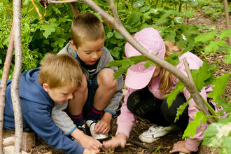A group of young people starting to build a den