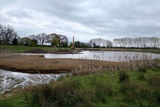 A photo of our nature reserve, Wood Lane, with a digger in the background