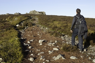 Walking Stiperstones