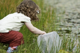 Pond dipping wildlings