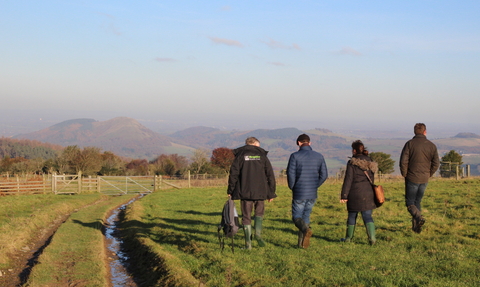 Walking the Hollies