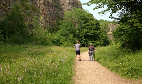 Llanymynech Rocks