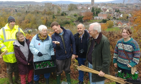 Friends of Whitcliffe Common