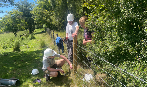 A group of people putting a fence up, wearing PPE and surrounded by trees. Fencing during make your weekends wild.