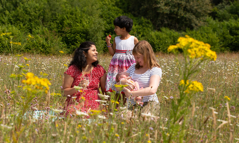 People and meadow