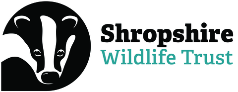 (c) Shropshirewildlifetrust.org.uk