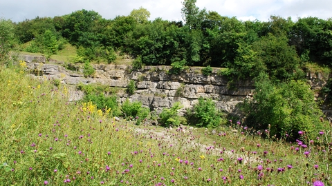 Dolgoch Quarry