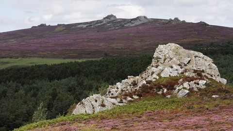 Nipstone Rock