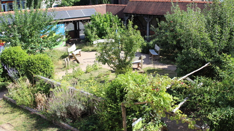 The garden at The Cut