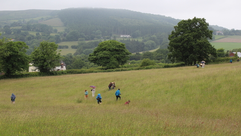 Farfields Meadow