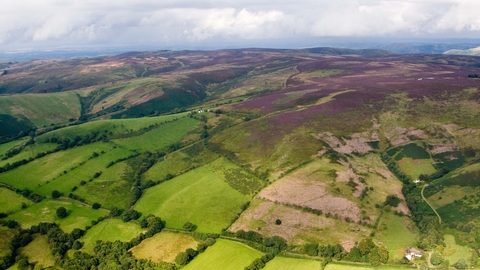 Long Mynd