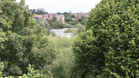 View from Darwin's garden