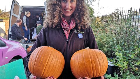 Lizzie and pumpkins