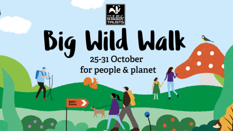 Big Wild Walk Header