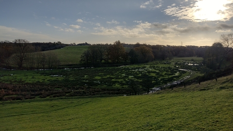 river wetland
