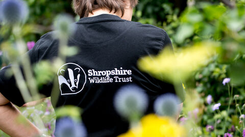 SWT staff member standing in garden
