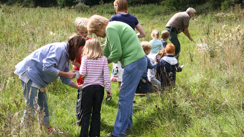 Minibeasts at Greenfields LNR