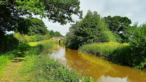 Canal with lush green foliage either side