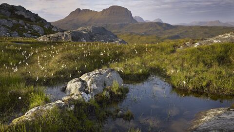 Suilven mountain in Scotland in the background. In the foreground is boggy land, with grassy mounts and pools of water