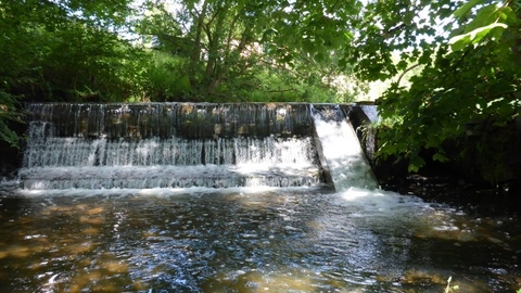 Eel and fish pass