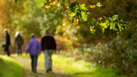 Couple walking down path through woodland