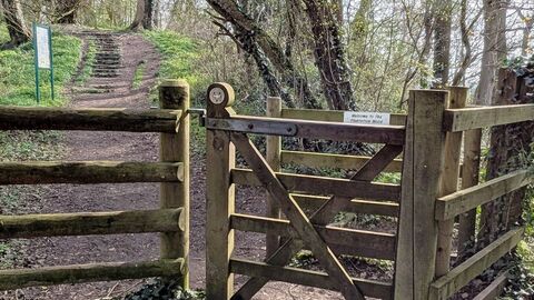Entrance to Ellesmere Plantation Wood