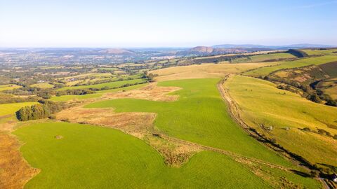 A photo of Betchcott Hill
