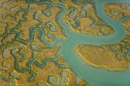 Saltmarsh from the air, The Wildlife Trusts