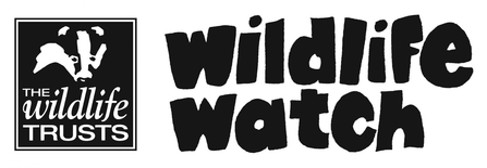 Wildlife Watch