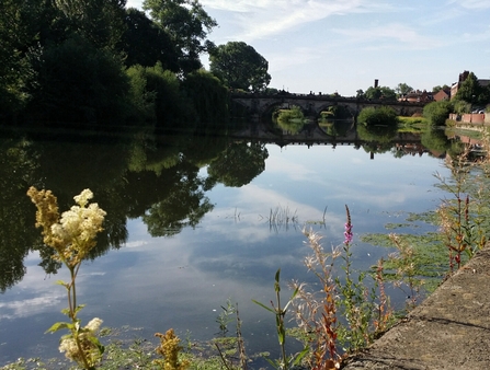 River Severn, Shrewsbury