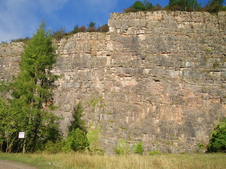 Rock face at Llanymynech