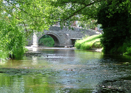 River Reflector