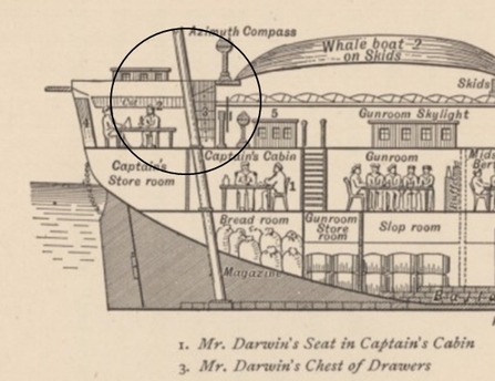 Darwins cabin