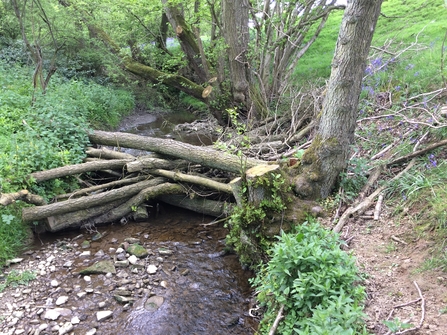 Slow the Flow project Woody debris dam in a Corve Dale brook