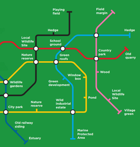 NRN tube map