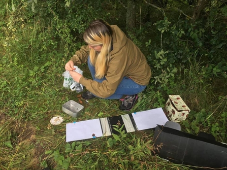 Hedgehog officer trainee conducing a footprint tunnel survey