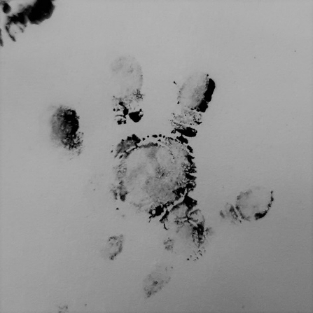 Hedgehog footprint