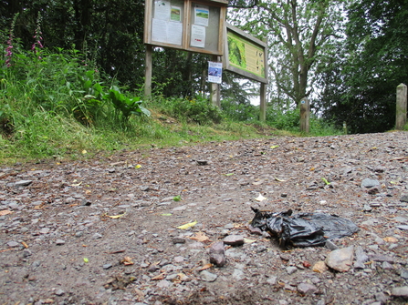 Earls Hill dog poo rubbish