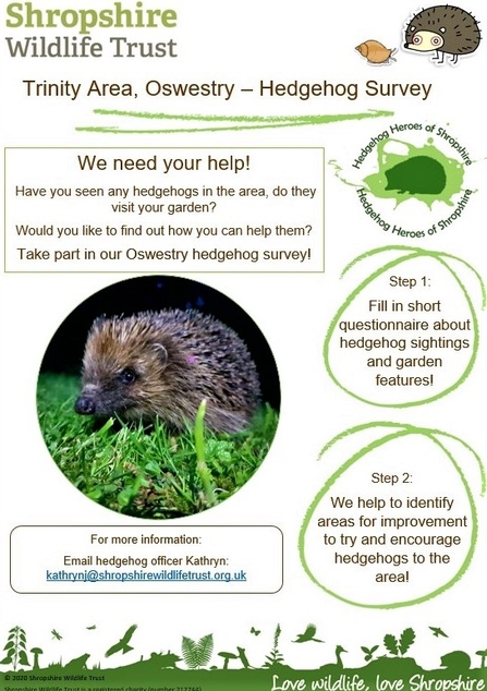 Oswestry Poster