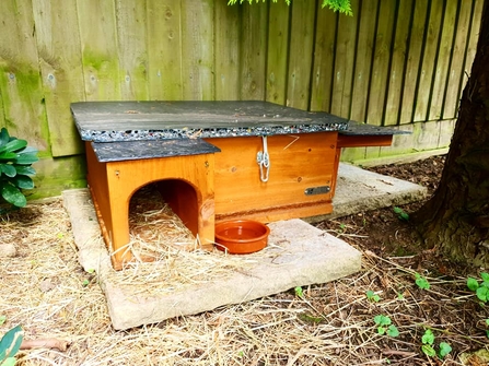 Hedgehog House in Little Wenlock