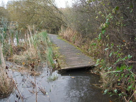 Birch Road Pond broken boardwalk